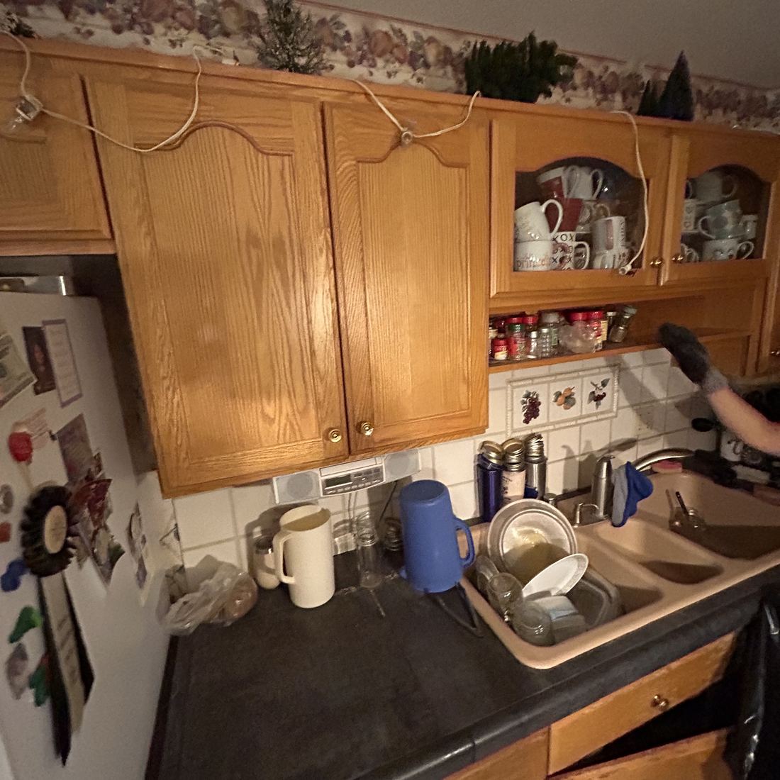 Kitchen cabinets and counters before clearing